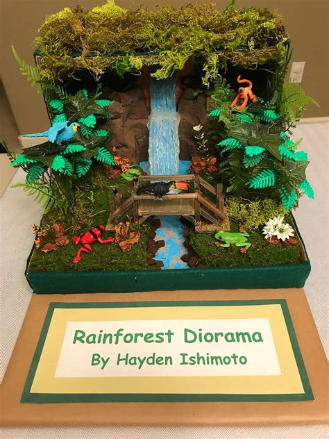 Rainforest Diorama B36