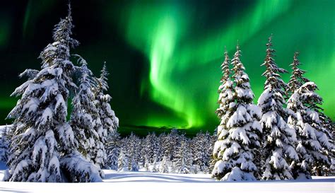 Auroras Boreales En Rovaniemi Guía Y Consejos Viajeados