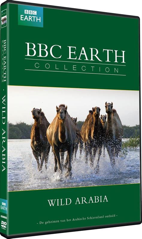 Bbc Earth Collection Wild Arabia Dvd Dvds