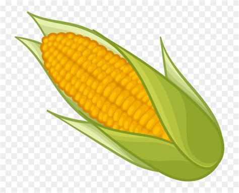 Corn Png Clipart Sweet Corn Clip Art Transparent Png 738x600