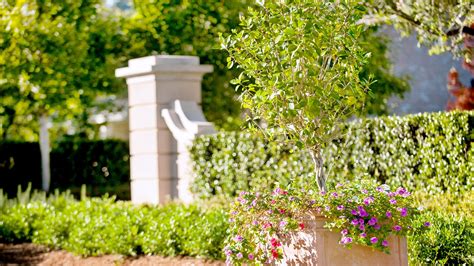 We did not find results for: Tchefuncte River Estates in Covington | Smoketree ...