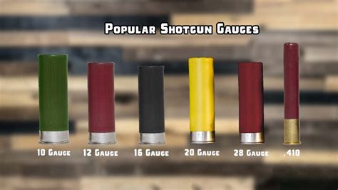 Shotgun Recoil Table 12 Gauge Vs 20 Gauge Vs 410 Backfire