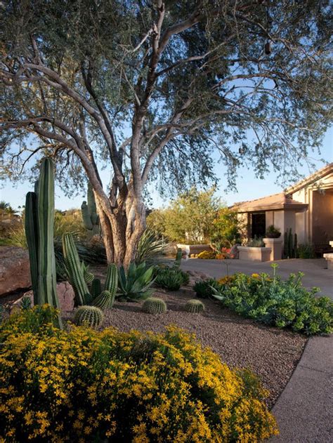 Backyard Desert Landscaping Home Design Ideas Pictures