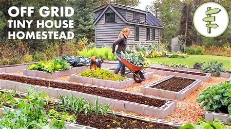 Living Off Grid On A Tiny House Homestead For 6 Years The Homestead