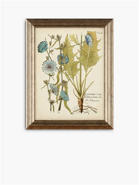 Botanical Florals Framed Prints Set Of 3 47 X 37cm Greenmulti