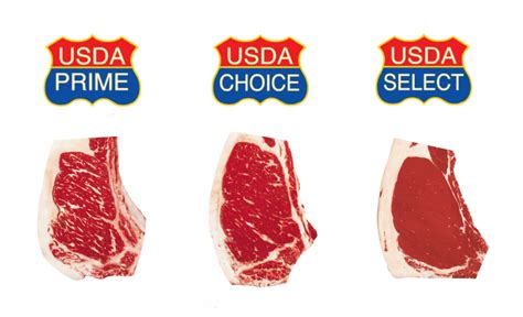 USDA Beef Grading Guide Is Angus Better Than Prime