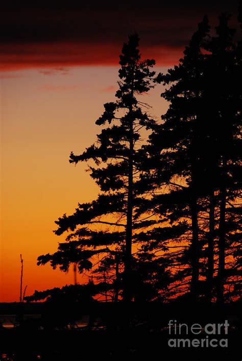 Pei Sunset Photograph By Paul Murray Fine Art America
