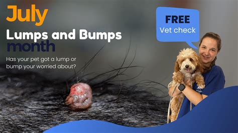 Dogs Lumps And Bumps Guide Warren House Veterinary Centre