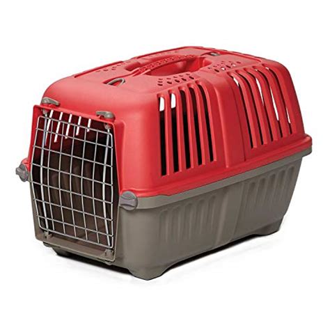 The Best Rabbit Carrier Our Top Eight Picks 2023