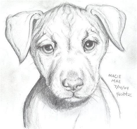 Dog Eyes Sketch At Explore Collection Of Dog Eyes