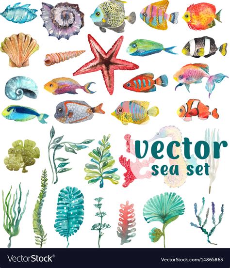 Watercolor Sea Life Seaweed Shell Fish Sea Vector Image
