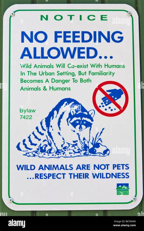 No Feeding Sign Hi Res Stock Photography And Images Alamy