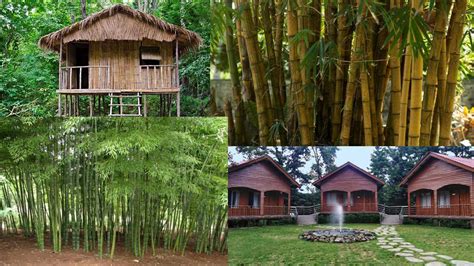 First Bamboo Village In India At Katalmara Tripura