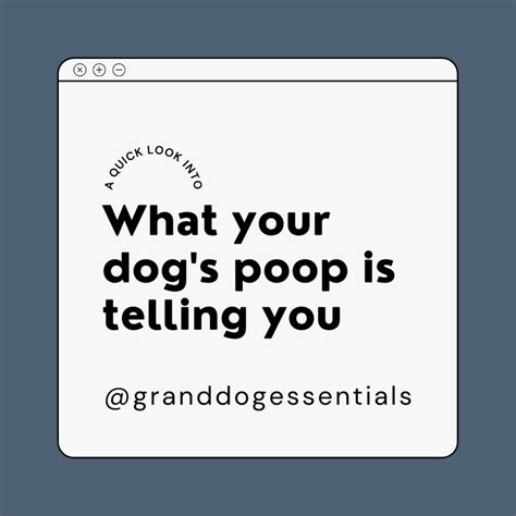 What Your Dogs Poop Is Telling You Grand Dog Essentials