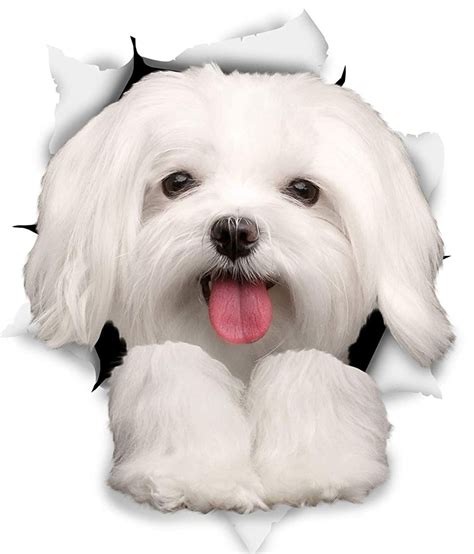 3d Dog Stickers