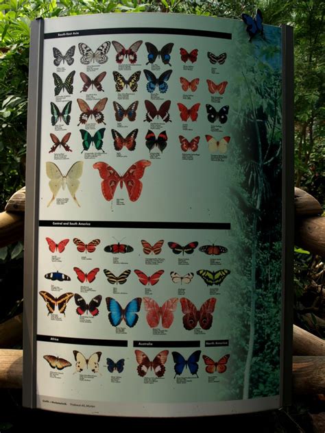Papiliorama Papiliorama Hall Butterfly Signage Zoochat