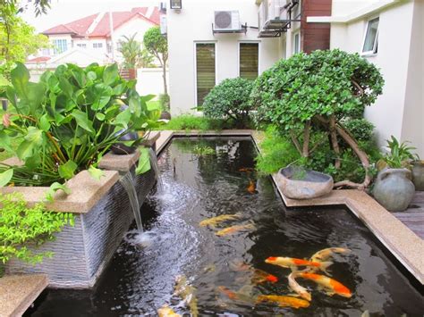 Contoh Desain Gambar Kolam Ikan Sederhana Rumah Minimalis - Minimalis