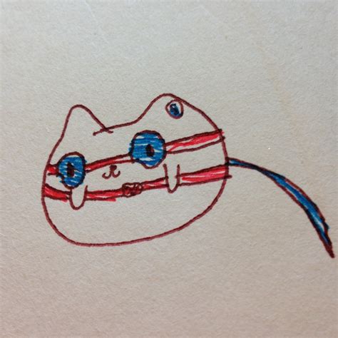 charli draws — ninja cat
