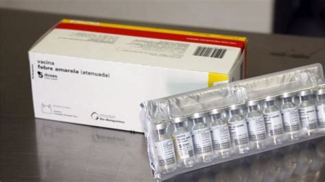 Brazil Orders 115 Million Yellow Fever Vaccine Doses Bbc News