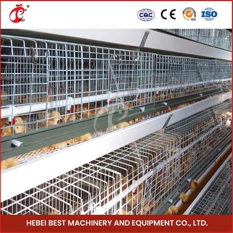 Bestchickencage China 1000 Chickens Chicken Cage Hold Manufacturers A