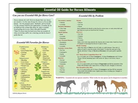 Printable Essential Oil Chart For Horses Etsy Nederland Essential