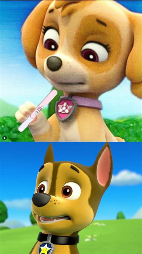 Skyes Pregnancy Test No 3 Paw Patrol Meme By Mollymolata On Deviantart