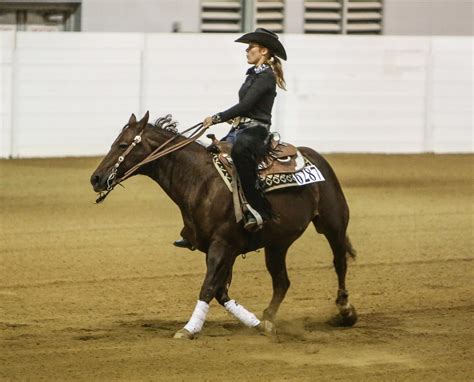 Horse Training Tips From Professional Reining Horse Trainers Custom