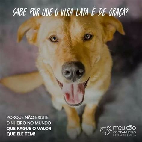 No local, os bombeiros deram água ao animal e. #Tufão | Citater