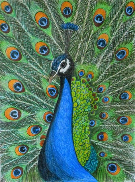 Peacock By Supach Peacock Original Oil Painting Oil Painting