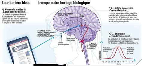 Comment améliorer son sommeil au quotidien