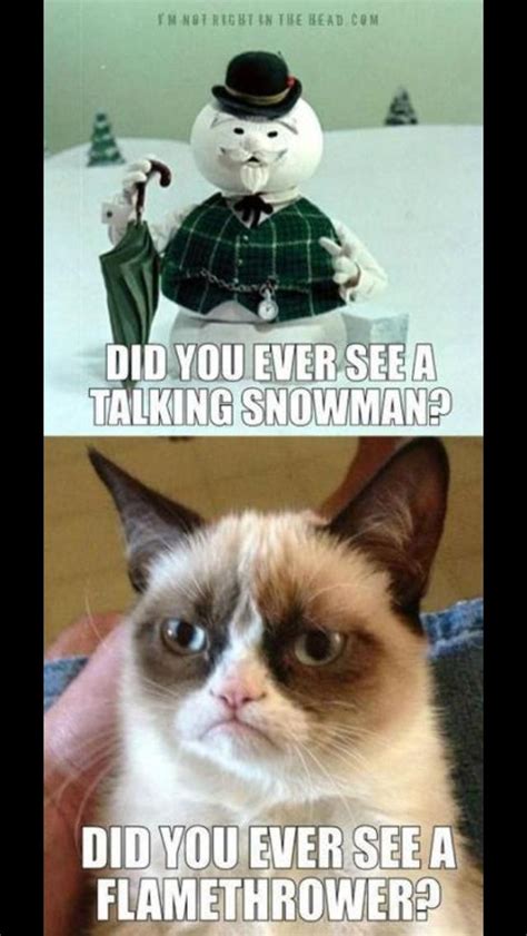 Erika Kaisersot Erikakaisersot Funny Grumpy Cat Memes Grumpy Cat