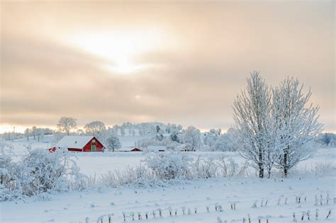 Farm In A Rural Winter Landscape With Snow And Frost Stock