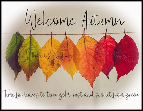 Welcome Autumn Thats Life You Know