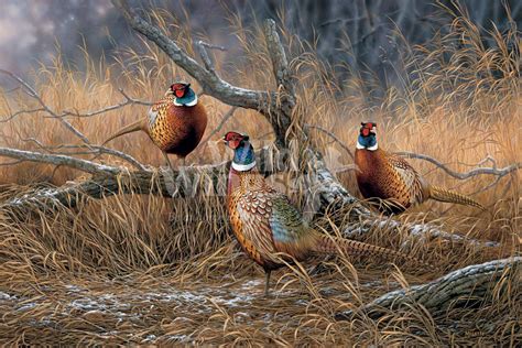 Rosemary Millette Hunting Art Wildlife Art