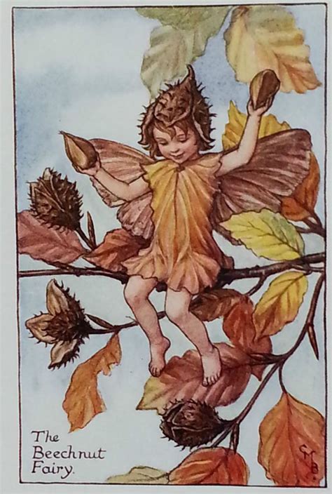 Flower Fairy Mounted Vintage Print 1930s Autumn Beechnut Etsy Uk
