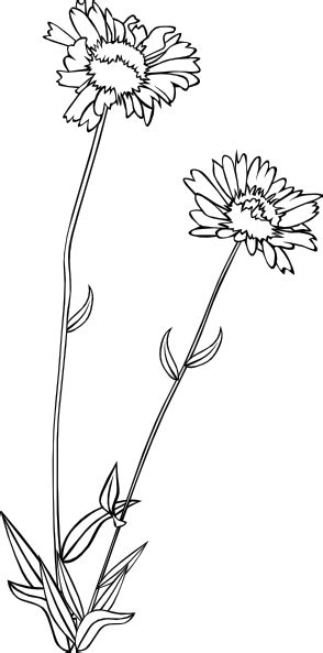 Free Wildflower Cliparts Download Free Wildflower Cliparts Png Images