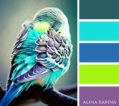 Color Inspiration 179 Codesign Magazine Daily Updated Magazine