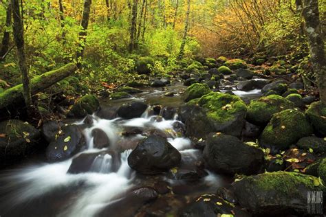 Free Images Nature Forest Waterfall Creek Wilderness Photography