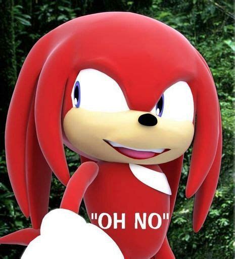 Do You Know All The Knuckles Memes Sonic The Hedgehog Amino