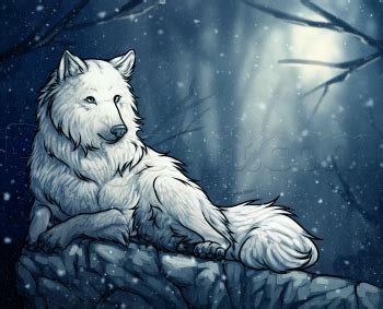 I'll reupload it to lo. How to Draw a White Wolf, Step by Step, forest animals ...