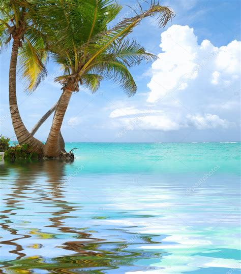 Caribbean Beach — Stock Photo © Haveseen 1800104