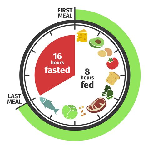 Does Intermittent Fasting Help Older Adults Age Gracefully