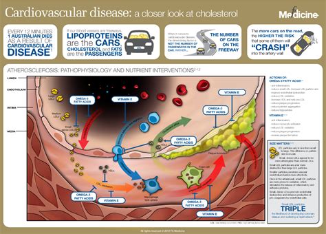 Cardiovascular disease: a closer look at cholesterol | FX Medicine