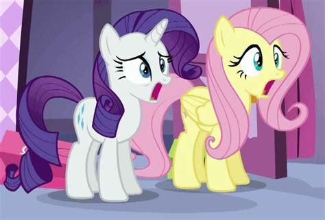 Rarity And Fluttershy Are Shocked My Little Pony Friendship Is Magic