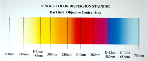 Dispersion Staining Colors