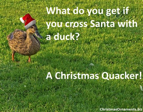 Christmas Joke Meme Duck Plus Santa What Do You Get If You Cross