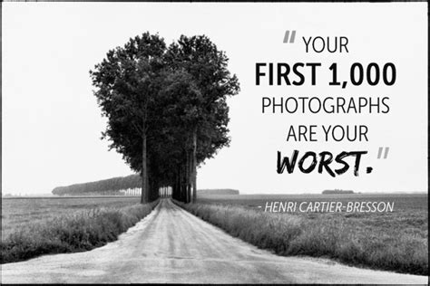 175 Photography Quotes For Instagram 2020 Cool Wildlife