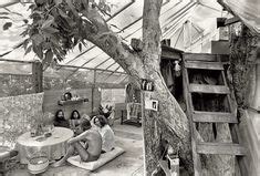 Extraordinary Vintage Photos Reveal Hawaii S Hippie Treehouse Community