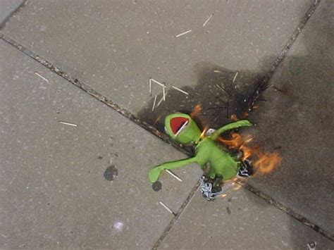 Never Fear Burning Kermit Is Here