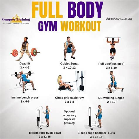 Daily 28 Days No Gym Total Body Workout Plan Total